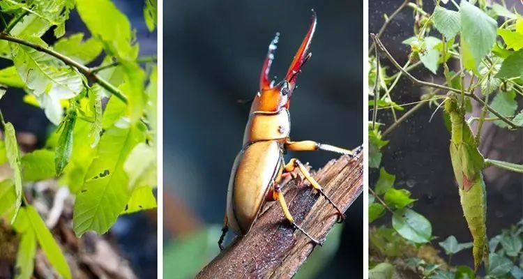 博物馆|远离人群，找寻隐于市的小众情怀