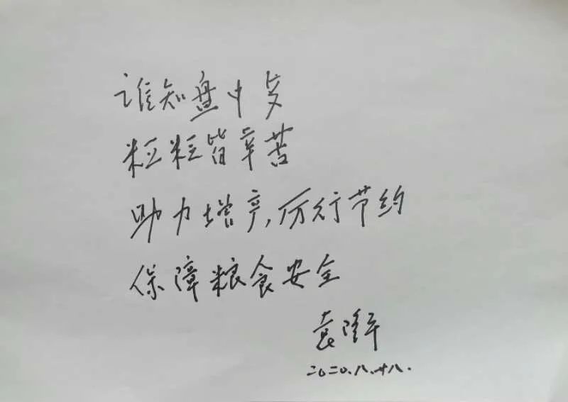 袁隆平|袁隆平的水稻在成都收割