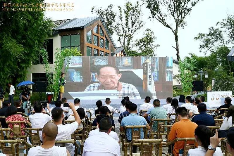 袁隆平|袁隆平的水稻在成都收割
