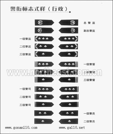 未来新式警衔 正式图片