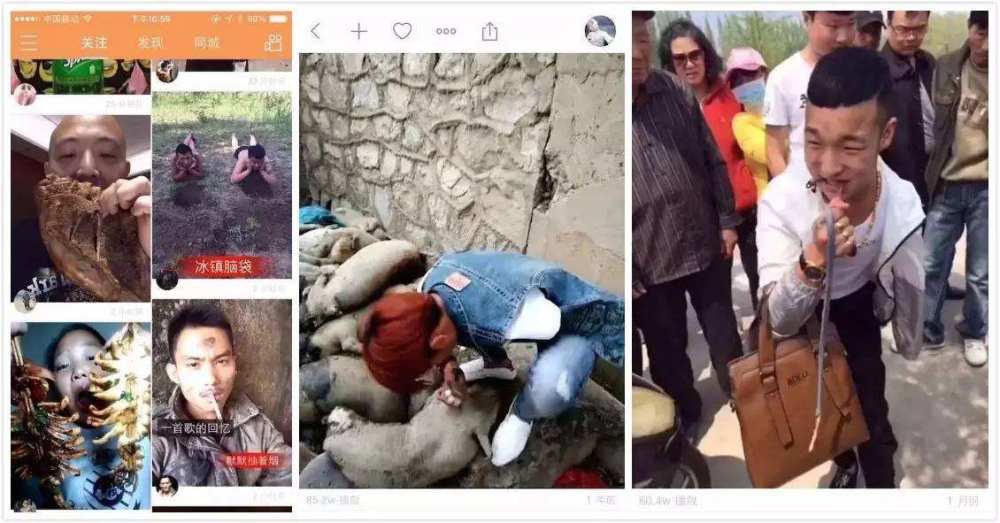 张宏民|娱论场丨张宏民杨丽萍们无儿无女，碍着你们谁了？