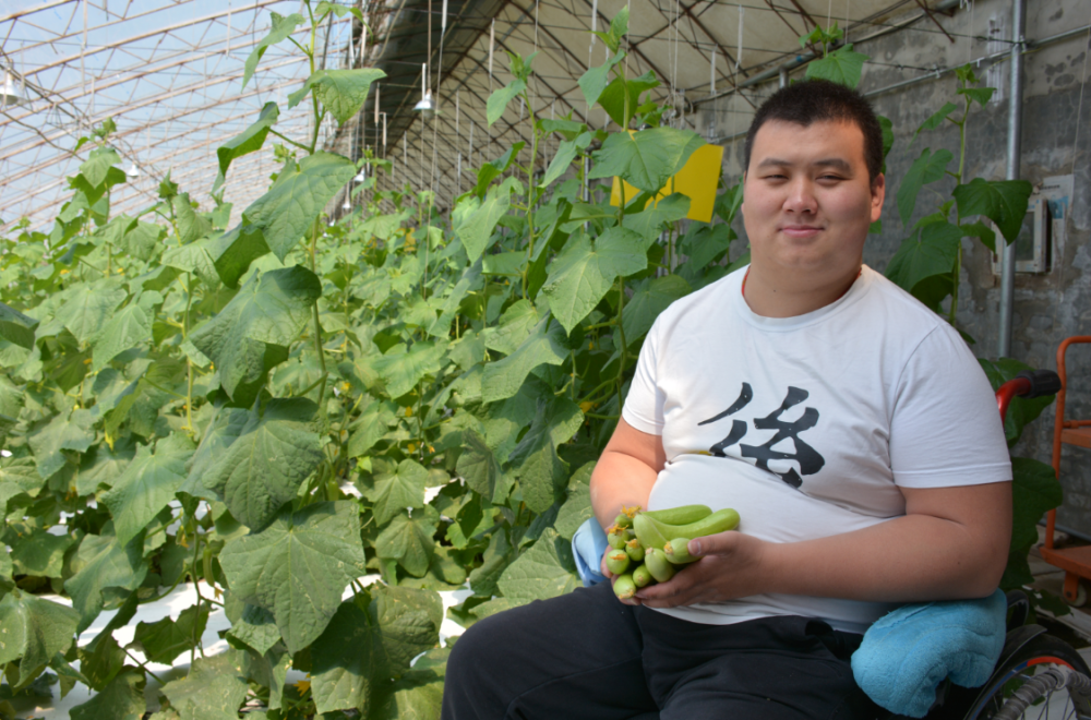 密云区|密云小伙轮椅上闯出致富路，还带动百余户农户增收