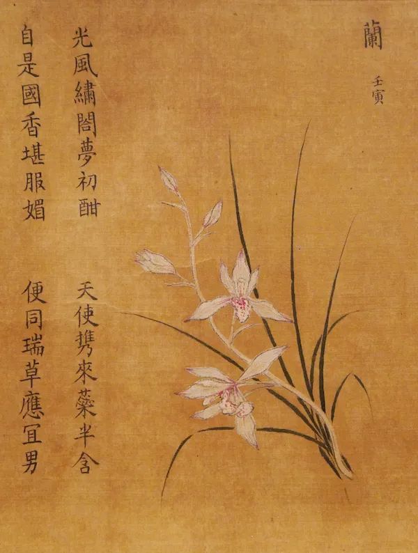 郑思肖与消失的泥土:一位南宋"遗民"的绘画与个人生活