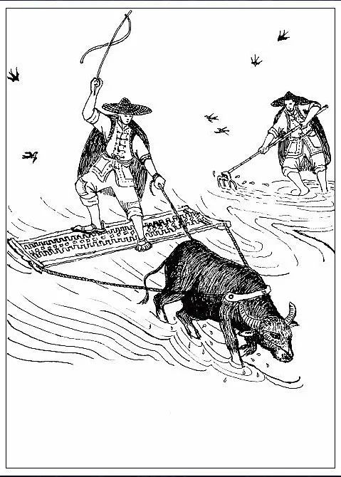 "吃苦耐劳的耕牛是农民们的好伙伴,牛耕田,打百草,平整耕地……在没有