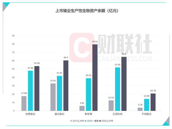 种猪|上市猪企后备产能持续扩张 新希望、正邦种猪规模超牧原、温氏
