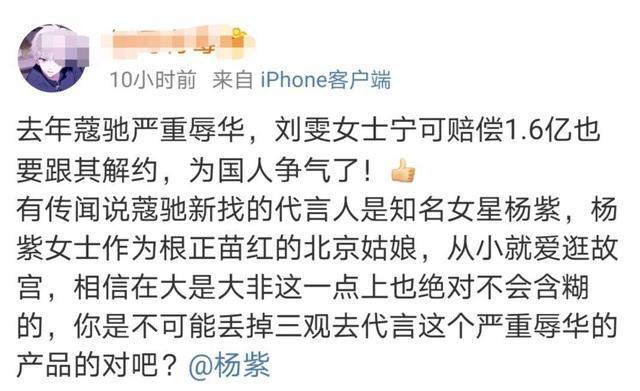 杨紫|杨紫成蔻驰品牌女士代言人，被酸太丢人，王一博、蔡徐坤无辜躺枪
