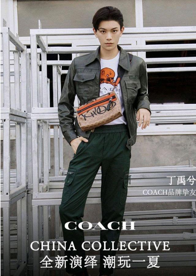 杨紫|杨紫成蔻驰品牌女士代言人，被酸太丢人，王一博、蔡徐坤无辜躺枪