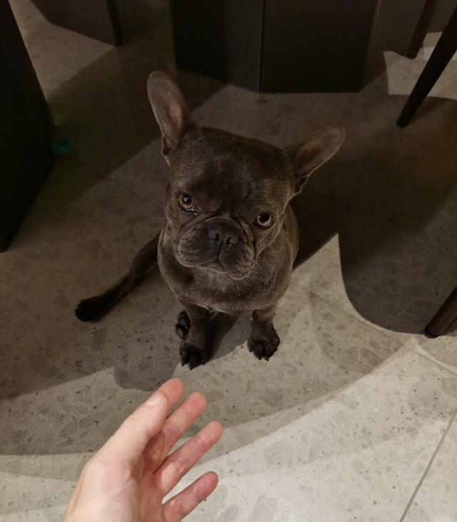 李小璐|无惧争议！张庭明道和李小璐同框跳舞，并大赞她很善良