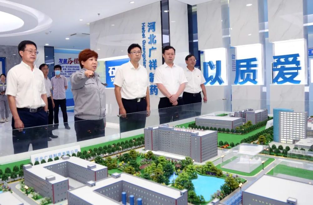 王景武到渤海新区调研检查