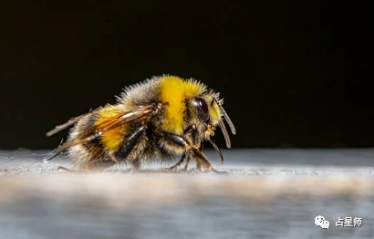 洛娜 8月31日至9月6日星座运势 从思想到行动 腾讯新闻