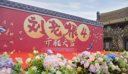 赵本山|赵本山私人飞机半价卖不出去？女儿道出其中缘由，曾遭王思聪调侃