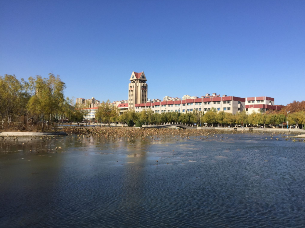烟台迎来一所公立大学,占地面积500亩,已通过教育部备案