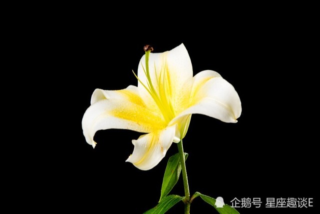 9月1日 10日星座运势 金牛信心十足 天秤深思熟虑 摩羯劳逸结合 摩羯座 天秤座 金牛座 星座运势