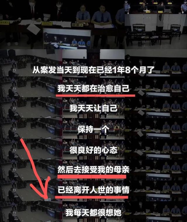 谭松韵|元气少女被迫长大？谭松韵誓为母亲讨回公道，庭审现场泣不成声