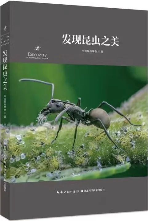 摄影作品|多细胞生物中，最成功的种群不是人类，竟是……