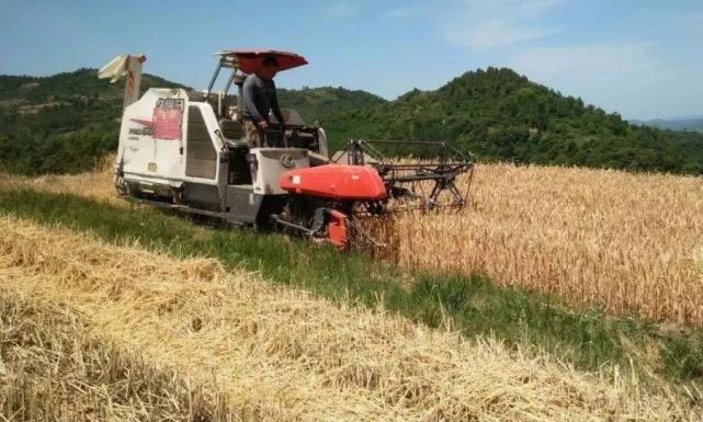 知势研究9月策略散户收割机升级如何不被收割