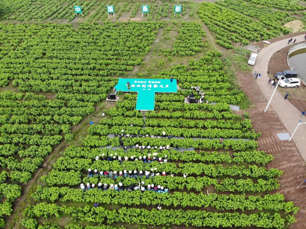 乐至县|快来夺取万元奖金 第二届中国田园诗歌大赛征稿啦