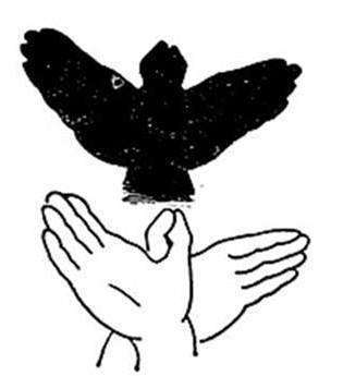 学长|学长学姐帮帮看，北京画室哪家比较好？