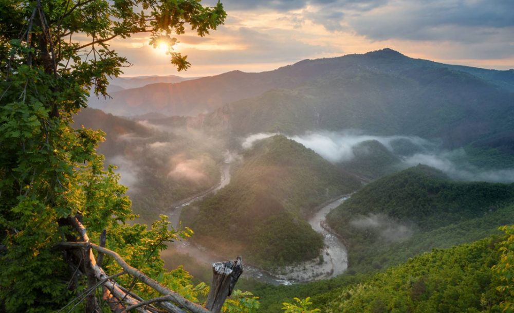 孟浩然|为了当上官，孟浩然写两首千古名作，一首令人赞叹，一首令人惋惜