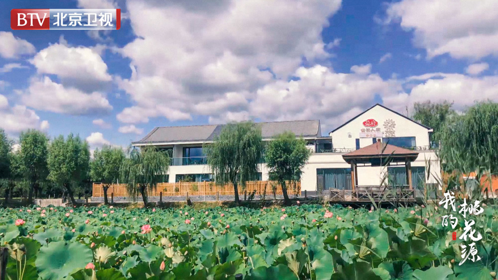 延庆区|《我的桃花源》今日21：50开播 带您探秘延庆“桃花源”