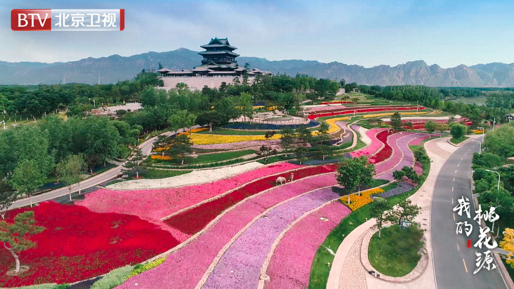 延庆区|《我的桃花源》今日21：50开播 带您探秘延庆“桃花源”