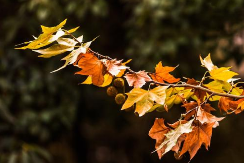 落榜|唐代考官在告示上写首诗，一落榜考生不服气回他一首，高手在民间