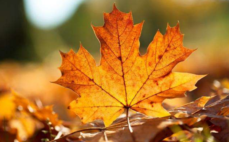 落榜|唐代考官在告示上写首诗，一落榜考生不服气回他一首，高手在民间