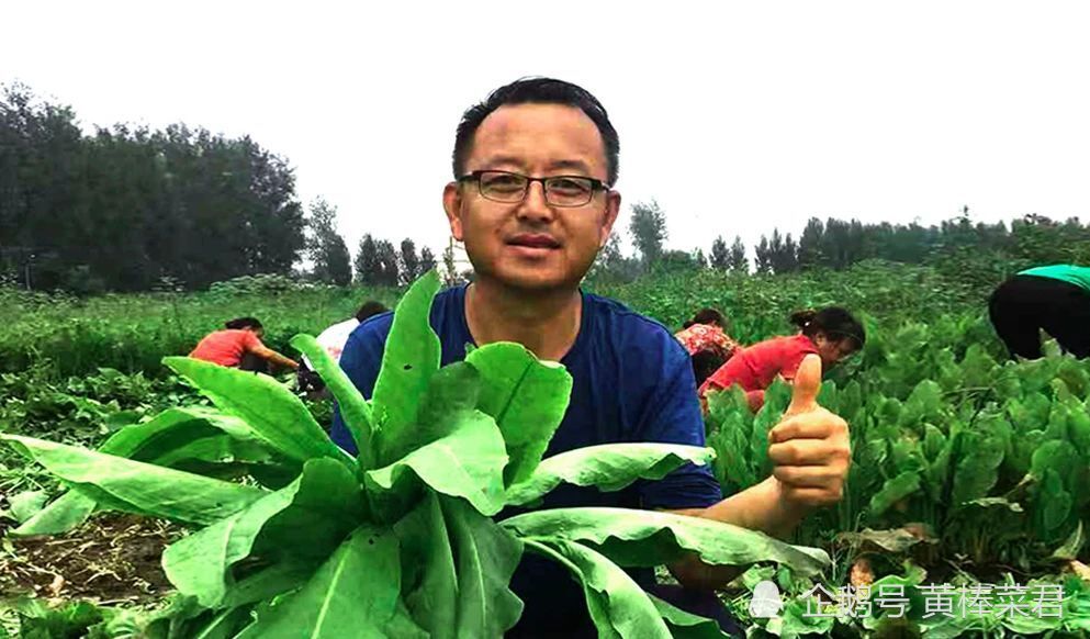 饲料|饲料无抗≠养殖无抗？“养鸡”理想很丰满，现实太骨感？
