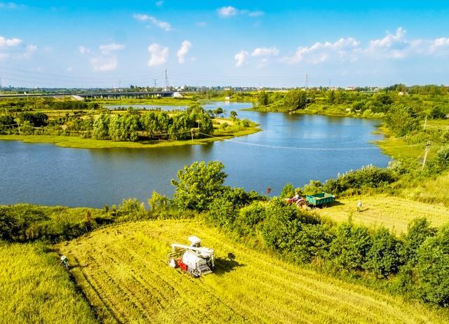 湖北云梦丰收美景入画来