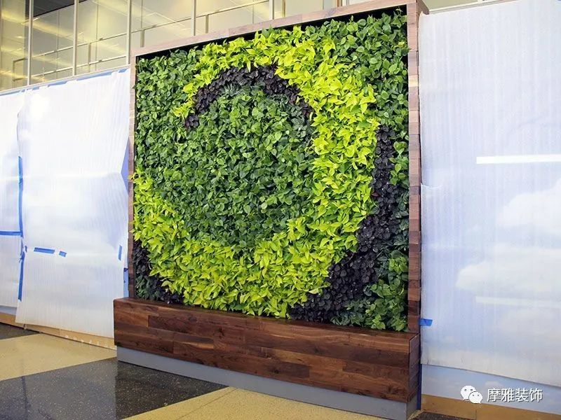 有趣的植物墙设计