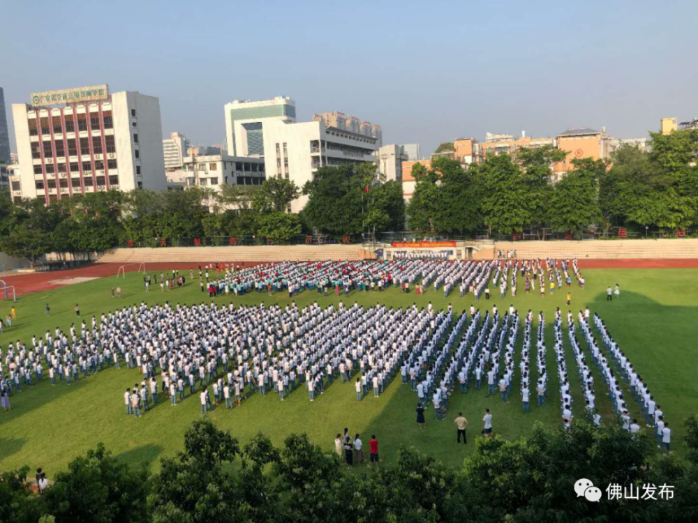 佛山各大幼儿园,中小学齐齐迎新!