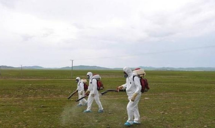 蝗灾|蝗灾将无法威胁人类，中国团队发现新方法，引国外媒体争相报道