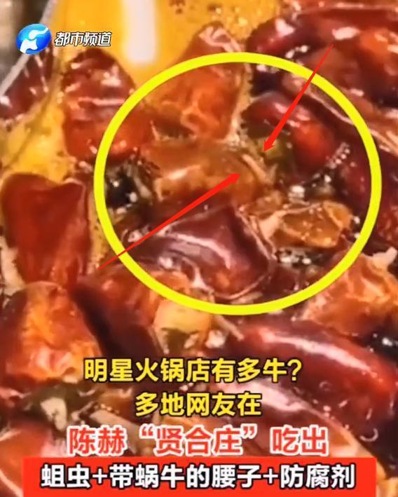 陈赫|陈赫火锅店“炸伤”顾客，手部达2度烫伤，店方仅赔偿1千元