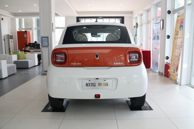 到店实拍欧拉黑猫 呆萌的都市小精灵