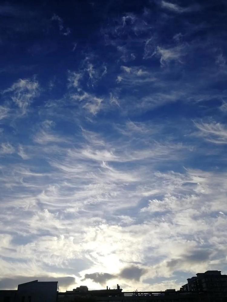 北京|人生应当有一次住在秋天的北平，就住在胡同的小院里，感受北平的秋意