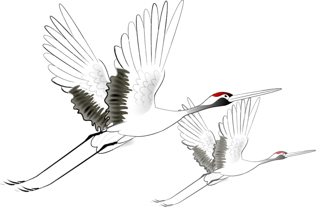 画法|广彩纹饰的样式与画法