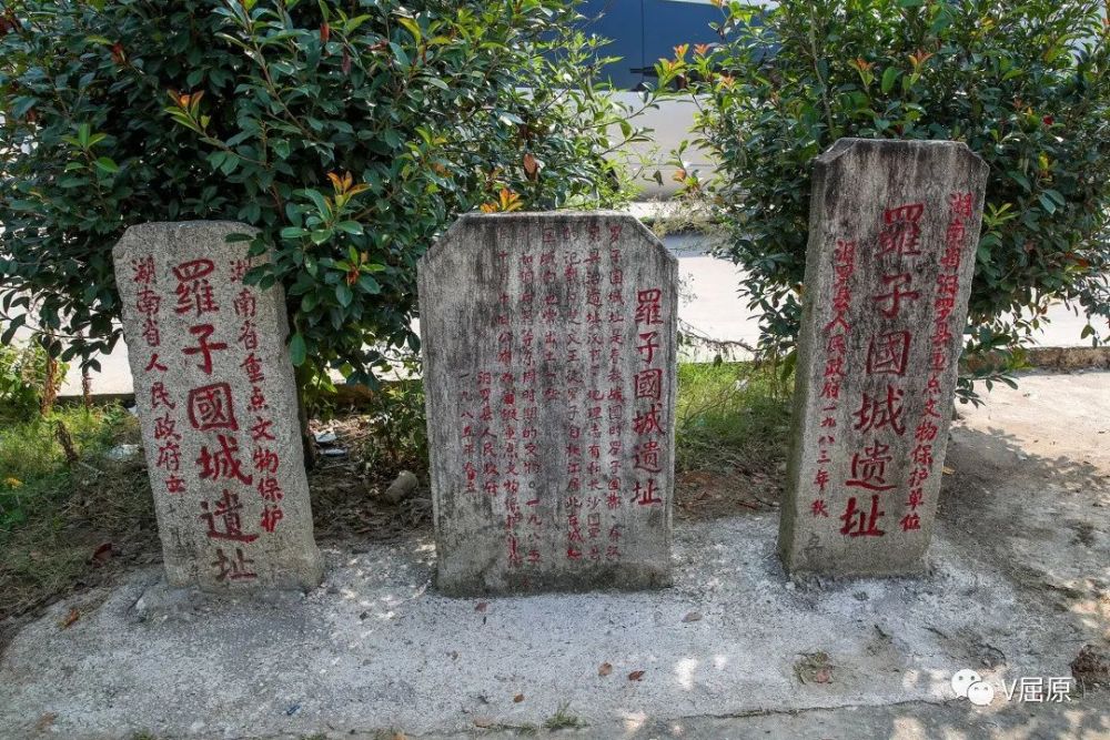 【屈原新闻】国家级文物专家实地探访罗子国城遗址