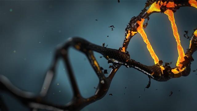 基因|人类竟然是基因的奴隶？科学家说出答案，让人难以置信