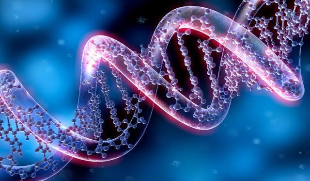 基因|人类竟然是基因的奴隶？科学家说出答案，让人难以置信