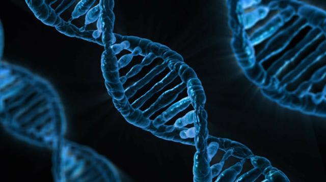 基因|人类竟然是基因的奴隶？科学家说出答案，让人难以置信