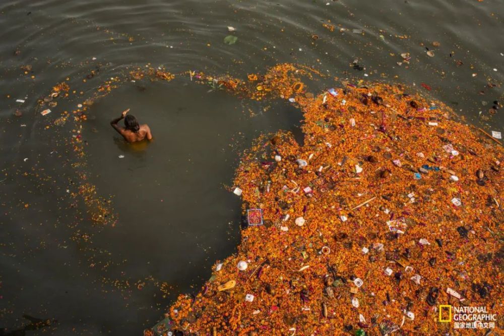 一名男子在恒河洗涤罪恶,但附近河水中混杂金盏花,塑料垃圾和排泄物