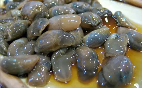 慈溪民间故事 龙山黄泥螺