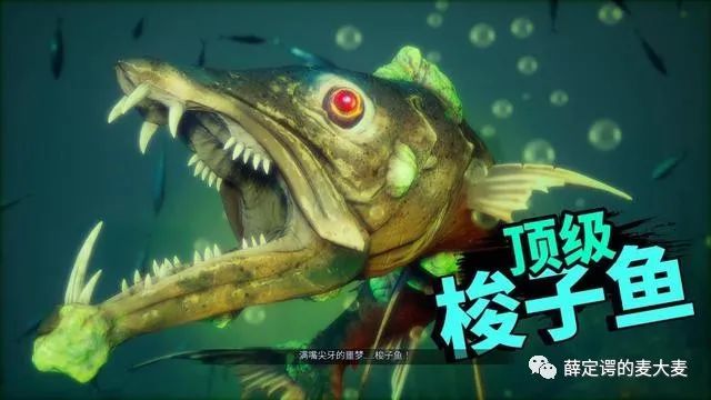 《食人鲨》:开局一条鲨,进化全靠吞