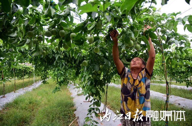 "孙钧垚表示.文稿:唐明润编辑:邵雪洋,唐中明图片:唐明润