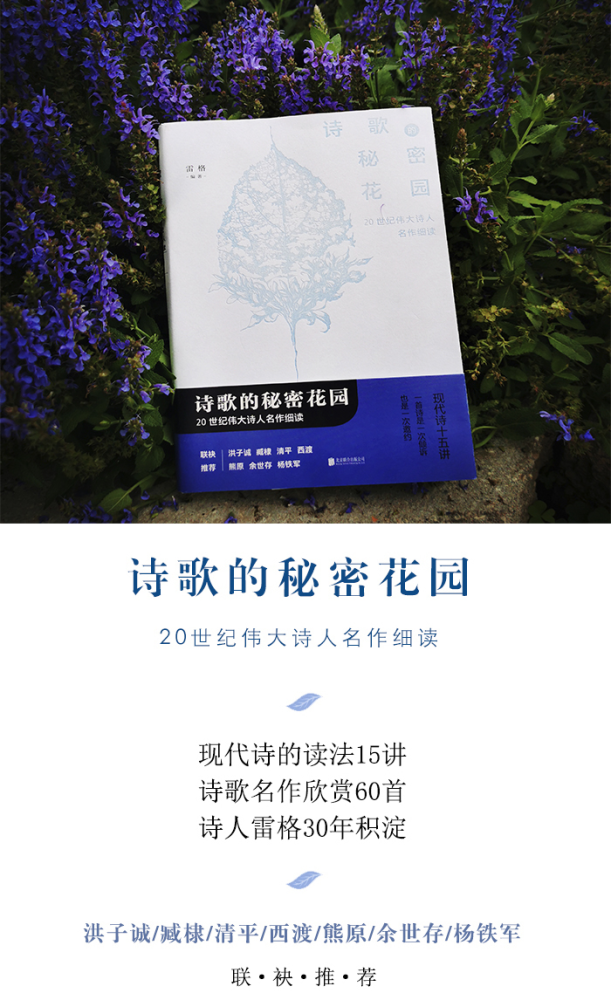 现代诗|雷格：现代诗的读法