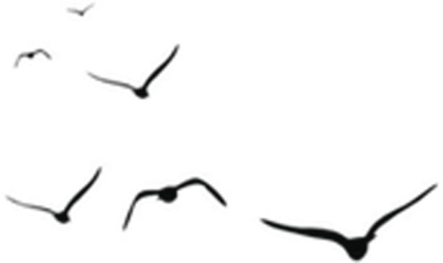 陶俑|我和击鼓说唱陶俑互换身份