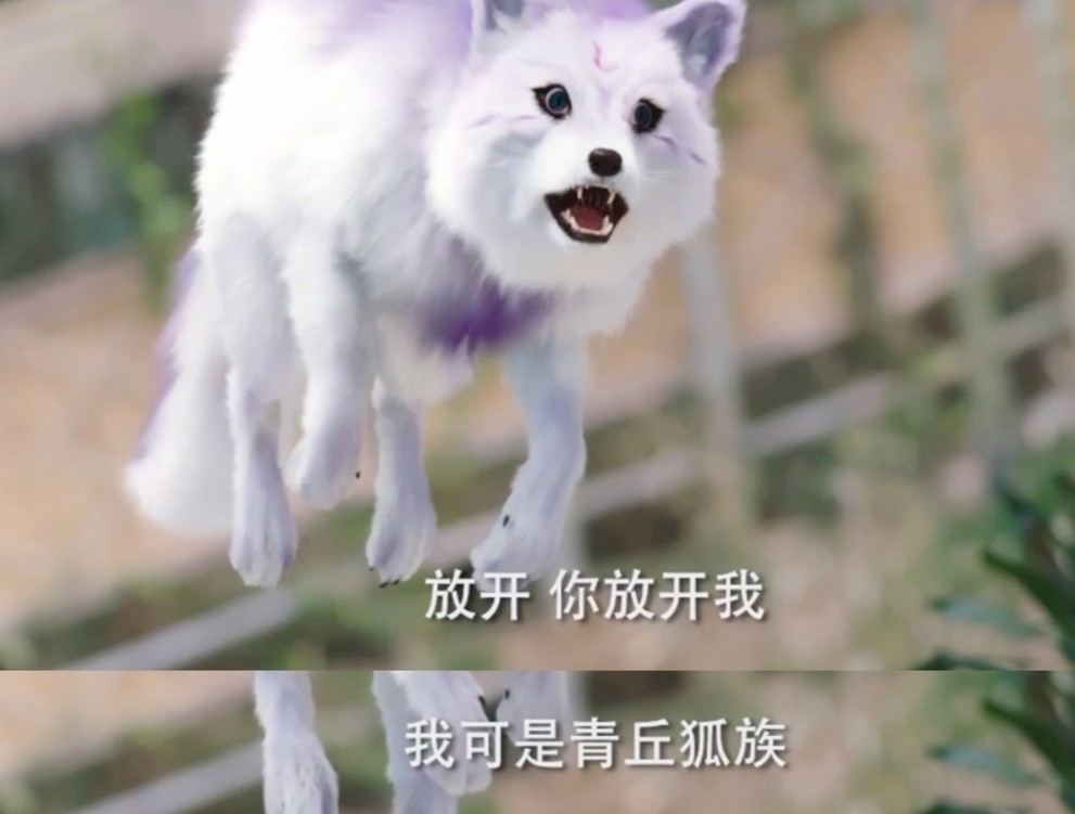 无支祁也动了情,在他参与大战之前他对一只紫色的小狐狸产生了不一样