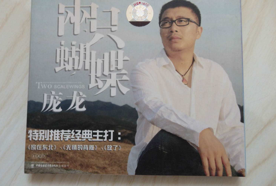 庞龙|凭借《两只蝴蝶》狂赚2亿4千万的庞龙，后来过得怎么样了？