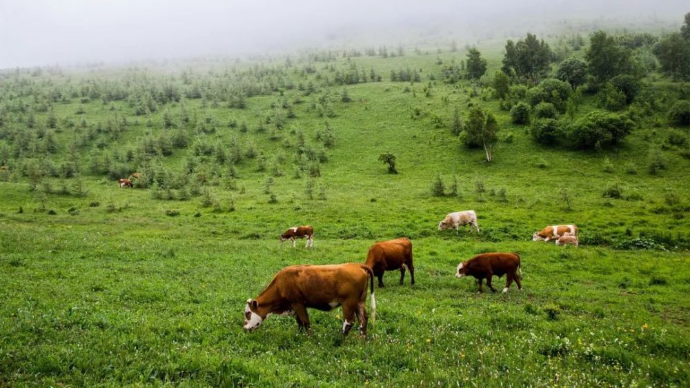 自驾|绝美自驾赏秋公路大盘点！北京周边的“秋名山”