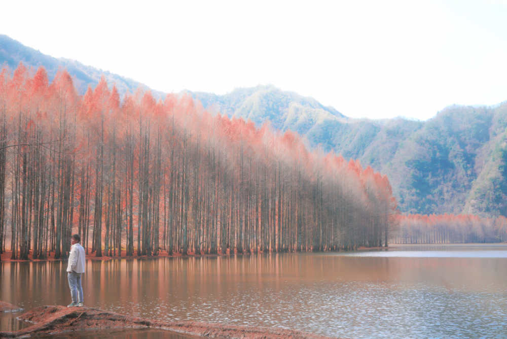 情绪|一个男人的真正成熟，从三个失去开始